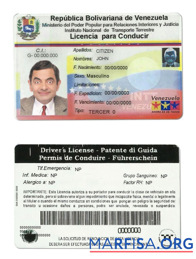 Printable Venezuela driving license example